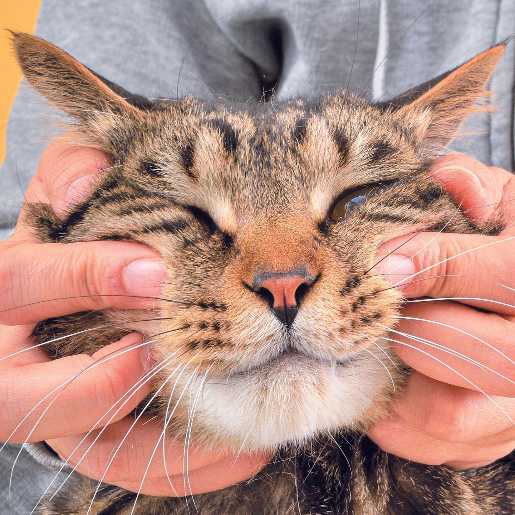 撮影／佐藤正之