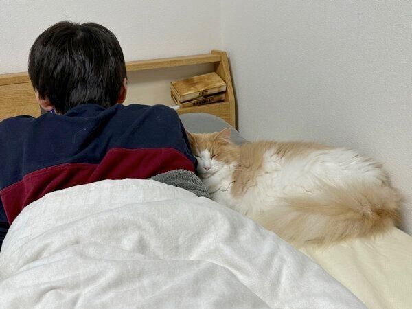 ご主人に寄り添うテオくん