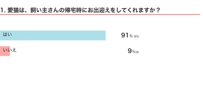 愛猫は、飼い主さんの帰宅時にお出迎えをしてくれる?