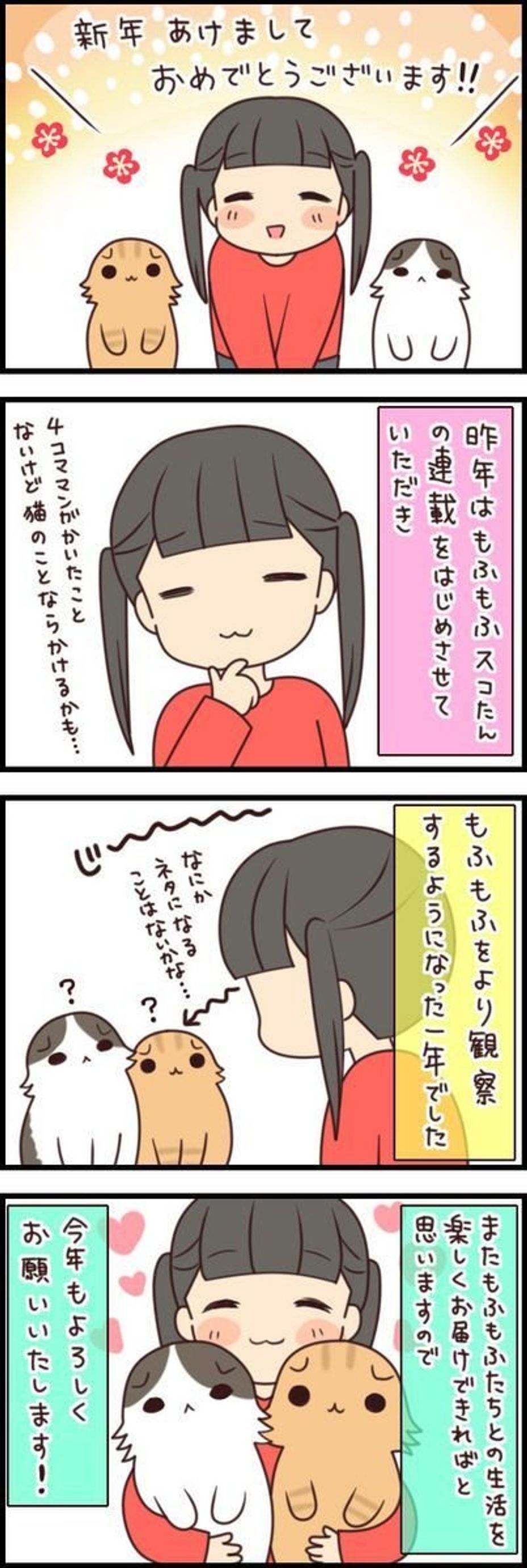 シルエットがお正月のアレにそっくり もふもふスコたん Vol 49 ねこのきもちweb Magazine シルエットがお正月のアレにそっくり もふもふスコたん Vol 49 ねこのきもちweb Magazine