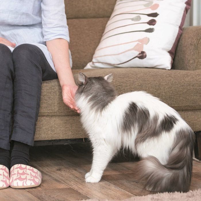 撮影／石原さくら