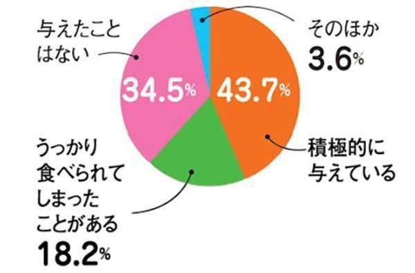 猫に人の食べ物を与える人の割合