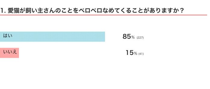 愛猫が飼い主さんのことをペロペロなめてくることがある?