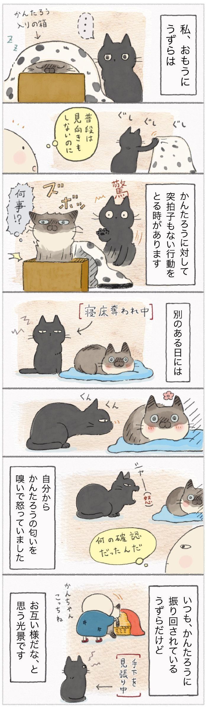 「ねこ連れ草」117話め