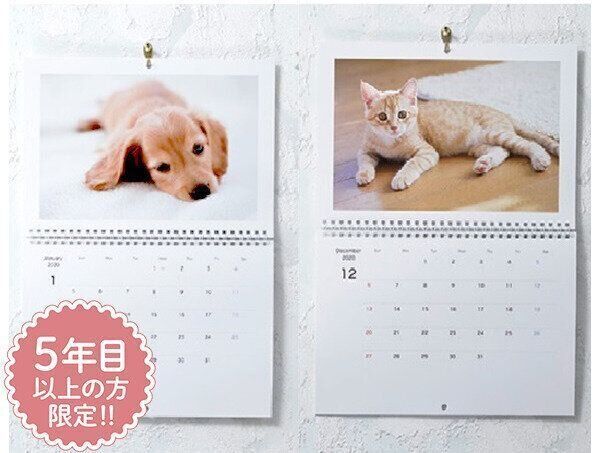 壁掛けカレンダー （Wall Calendar）
