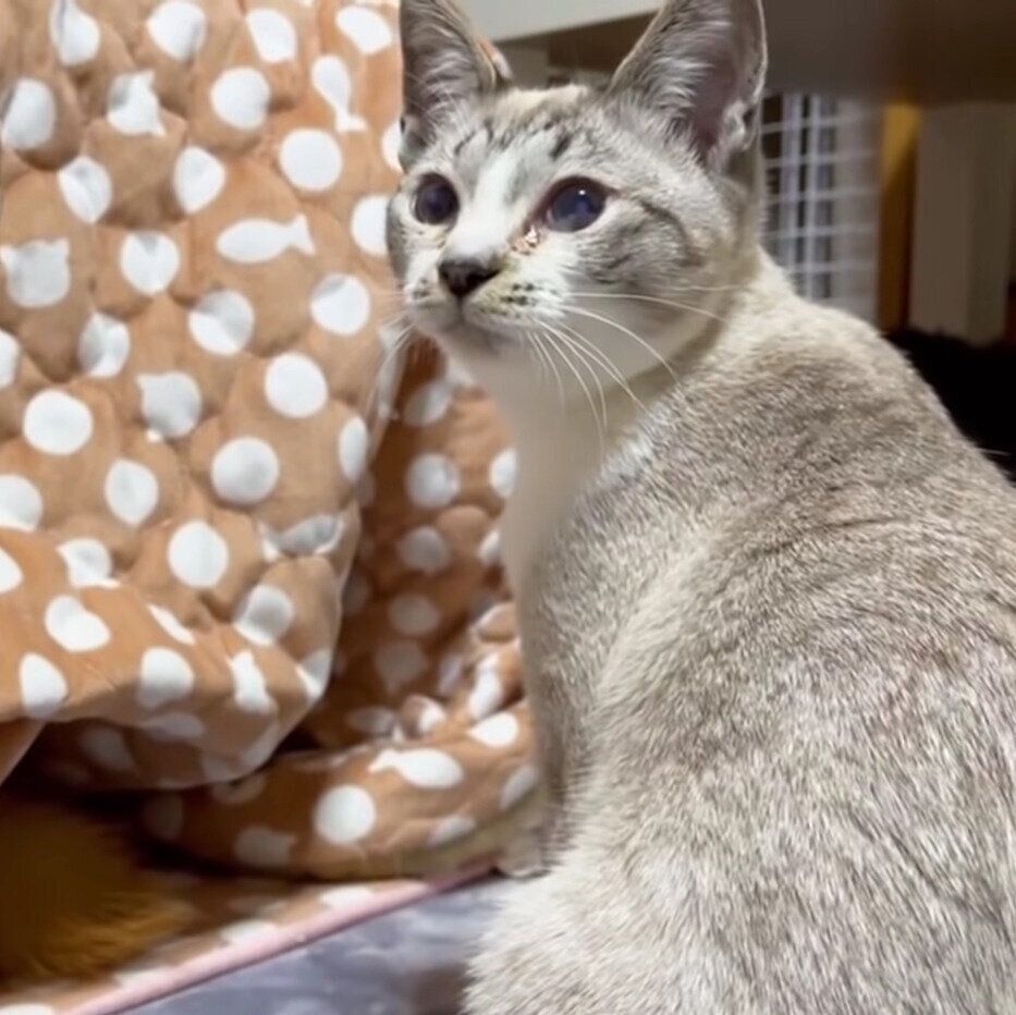 リコちゃんを発見したリノちゃん