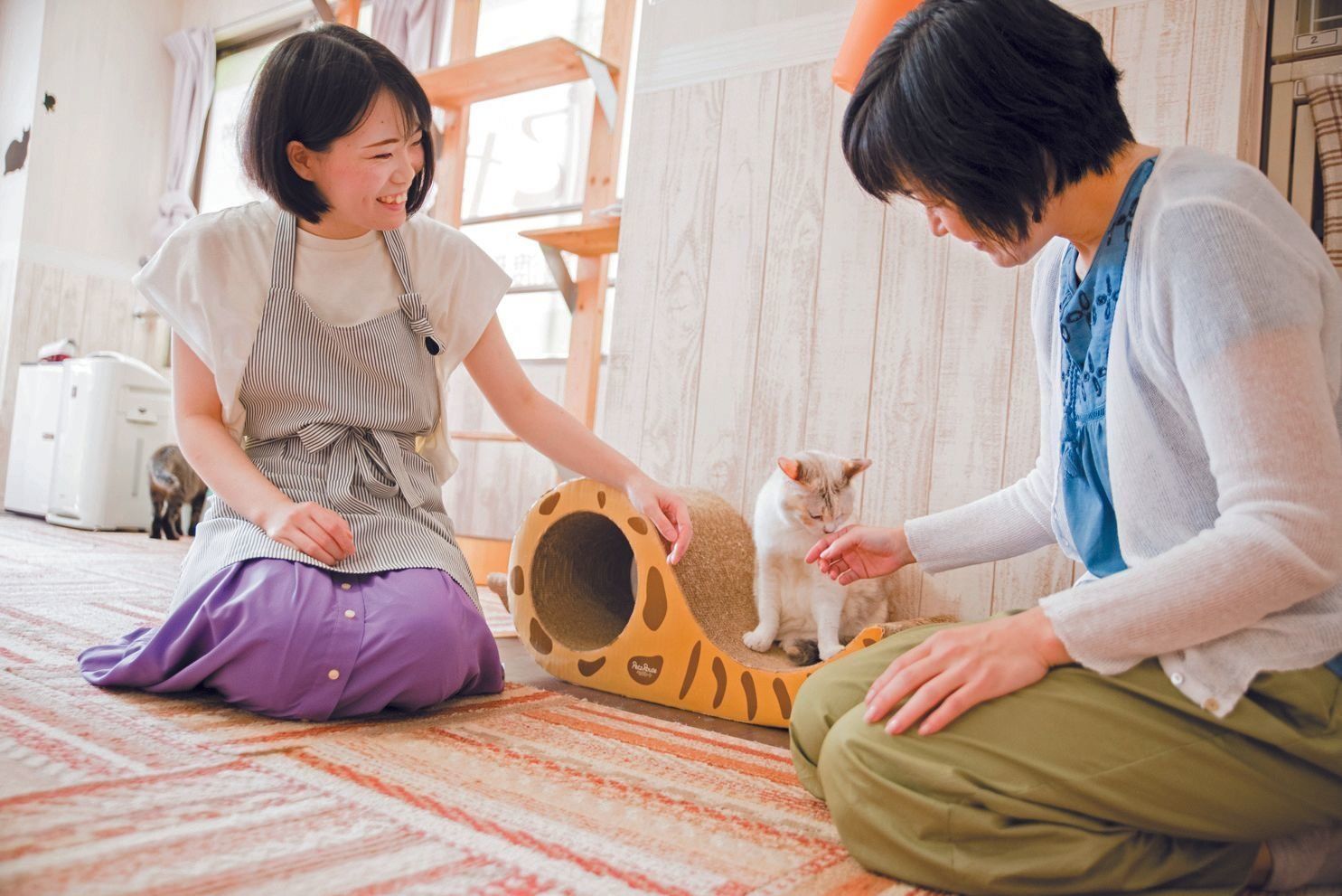 撮影／中川文作