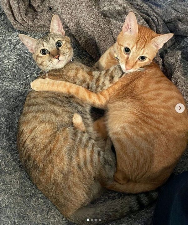 仲良しなノイくんとノアちゃん