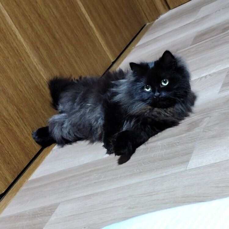 今年の夏に撮影した3才のみかげくん