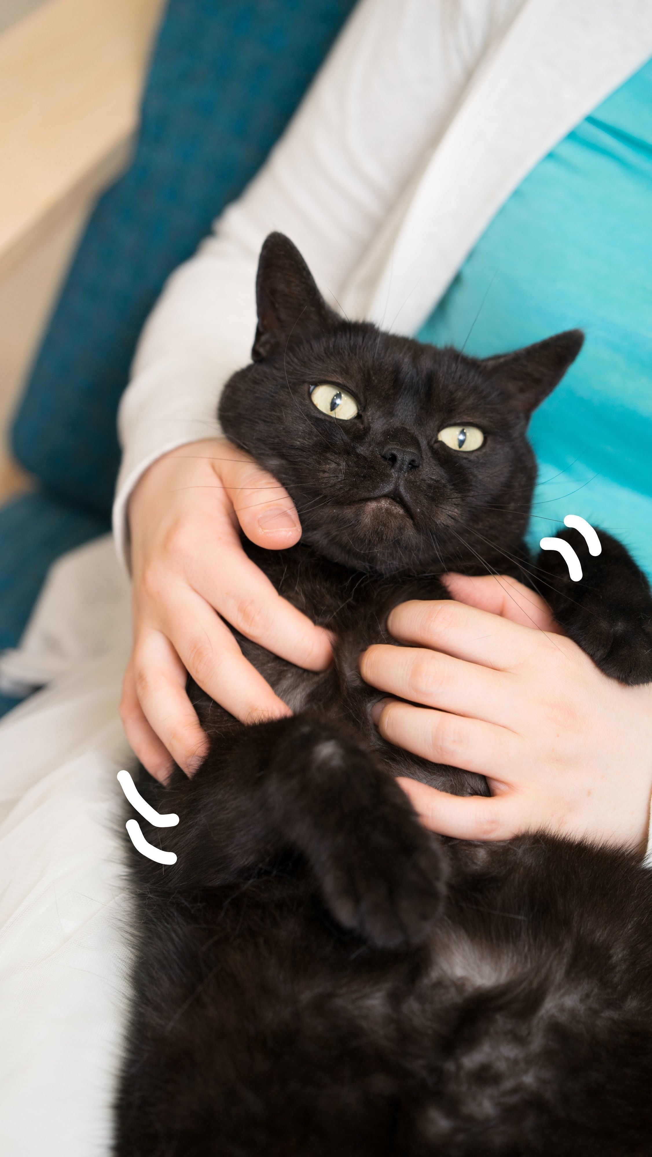 撮影／石原さくら