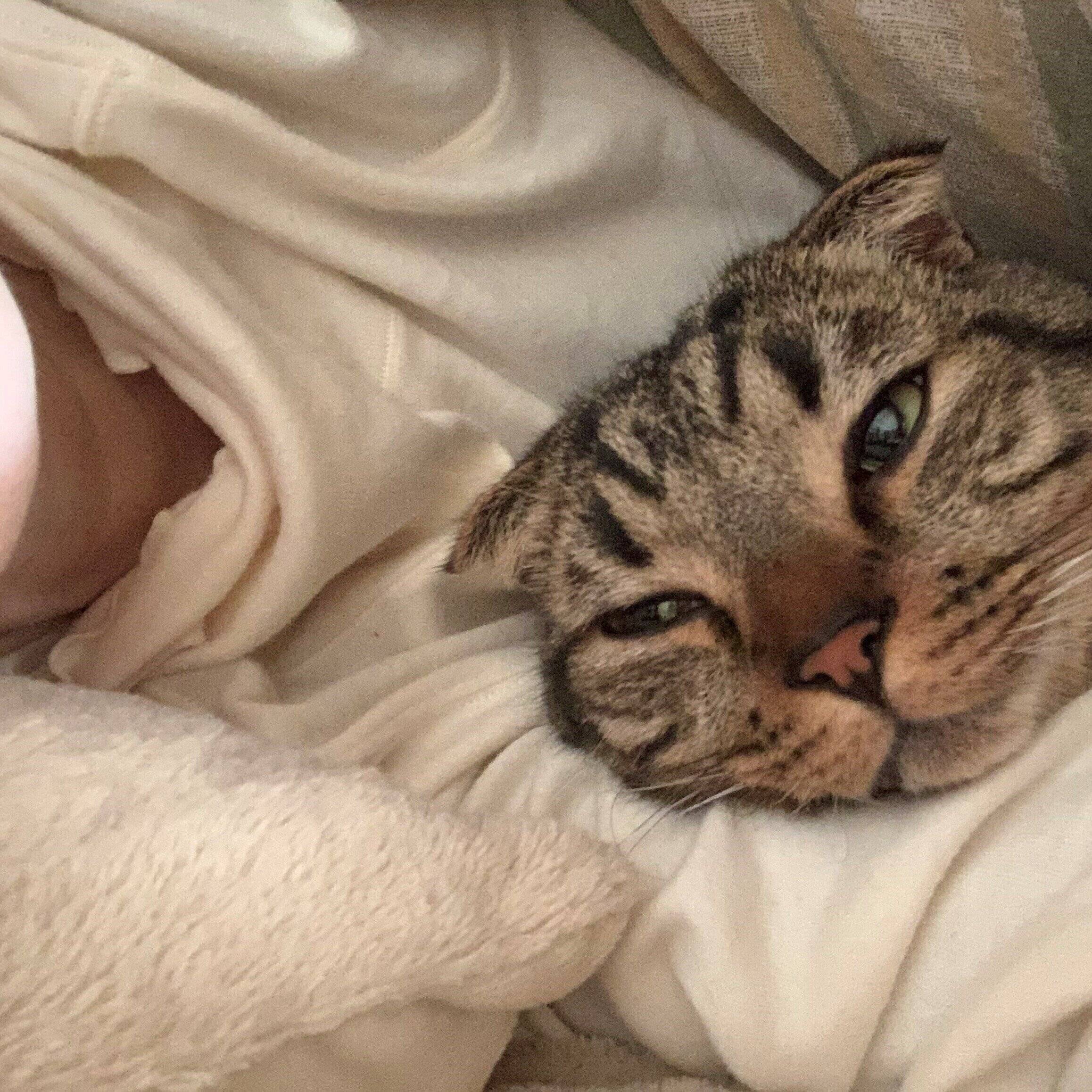 写真提供／読者