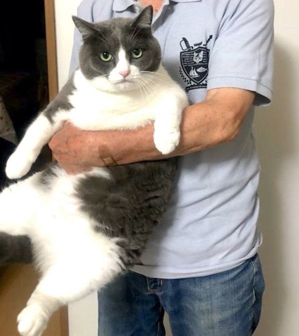 抱っこされるももちゃん