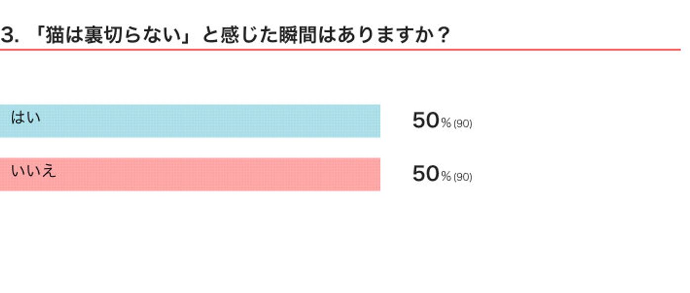 調査 人に裏切られても どんなことがあっても 猫は裏切らない と感じた赤裸々エピソード ねこのきもちweb Magazine 調査 人に裏切られても どんなことがあっても 猫は裏切らない と感じた赤裸々エピソード ねこのきもちweb Magazine