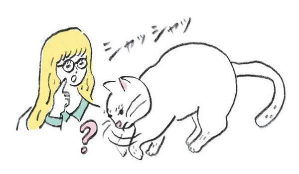 YES or NOが見極めにくい猫の5つの行動やしぐさ