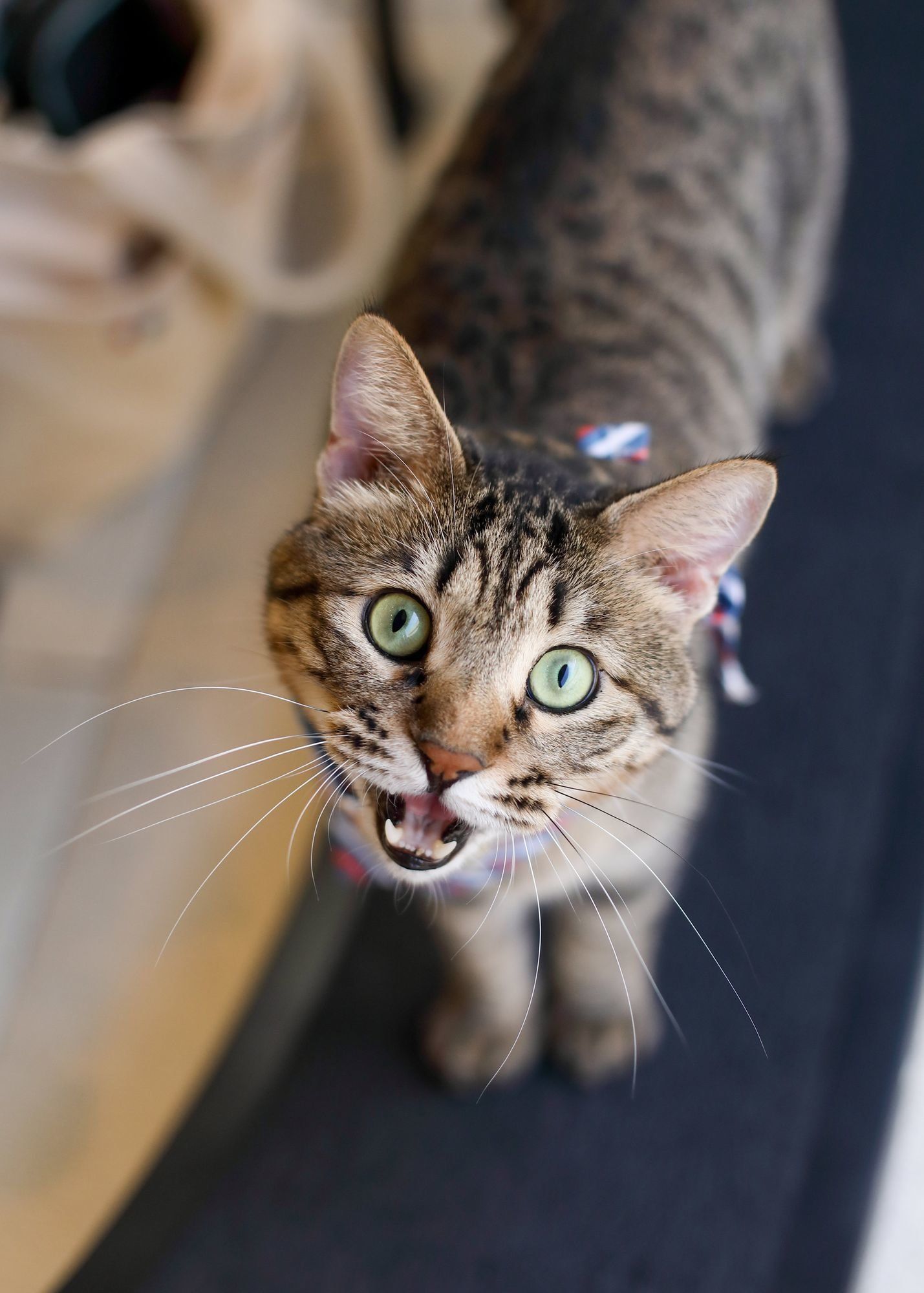 撮影／山下良子