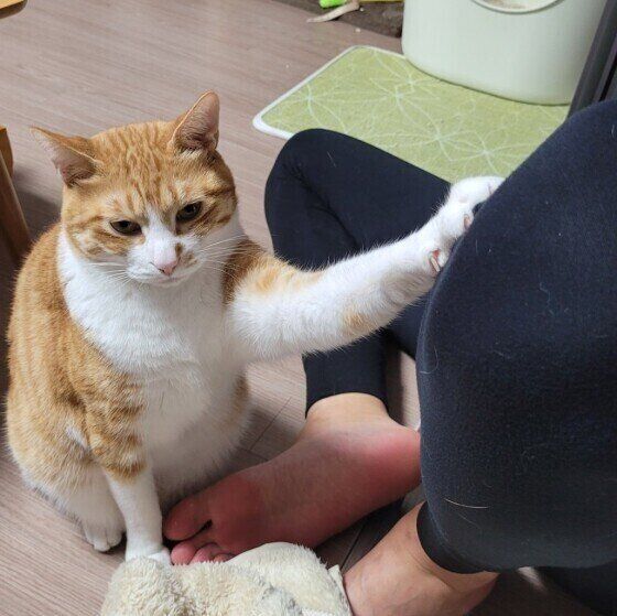 Mix（茶×白）のホドゥくん♪