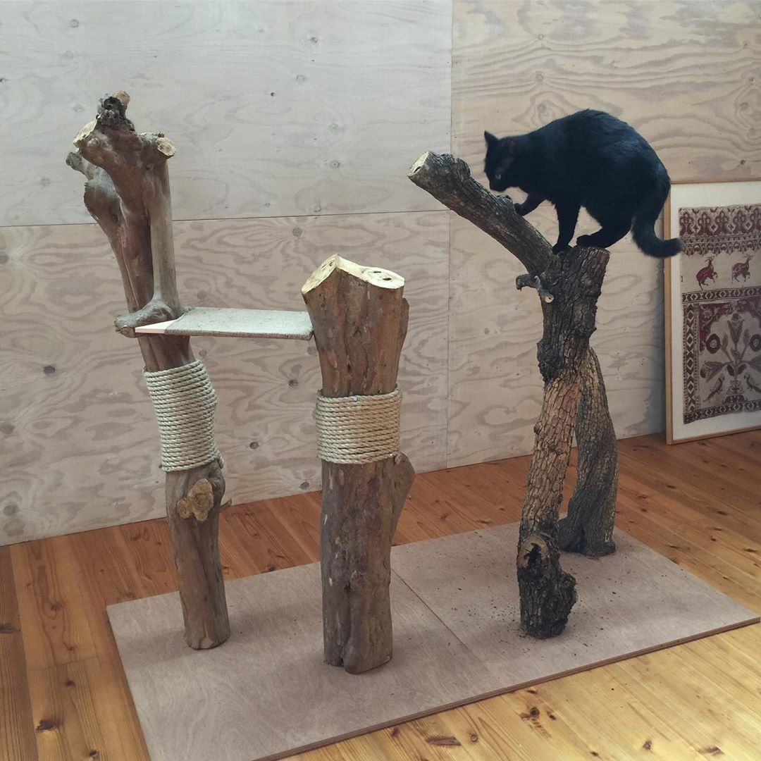 愛用している月ちゃん