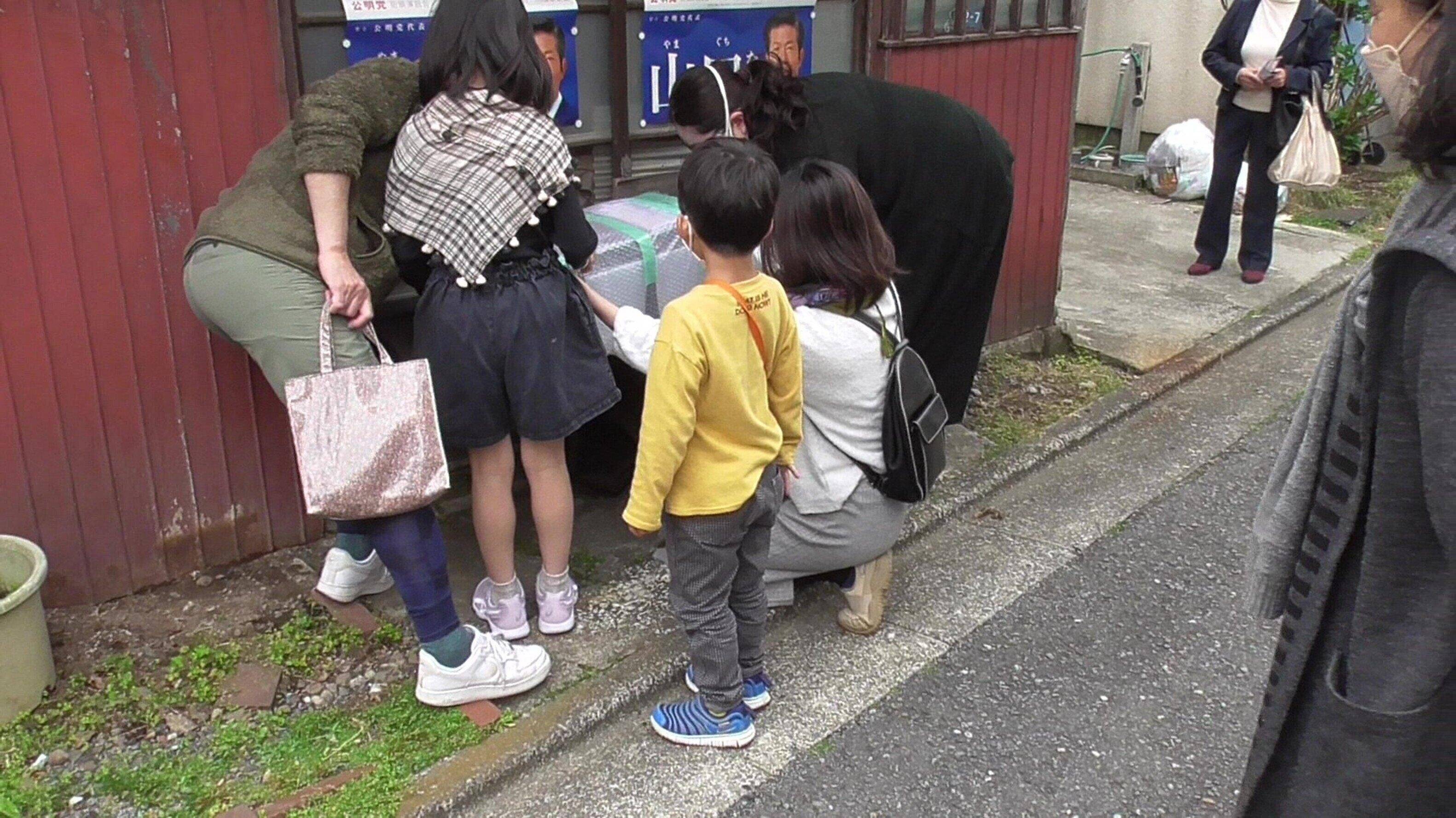 捕獲器を設置する様子。 地域の動物病院にも協力 してもらっているため、 捕獲してから不妊手術ま でスムーズに進めること ができる