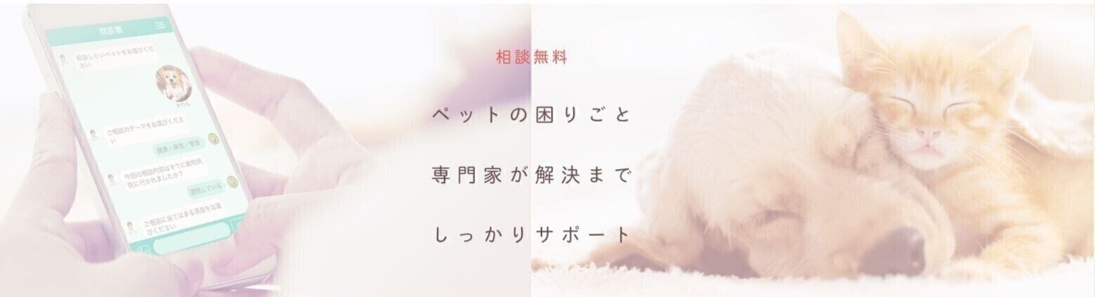 survise