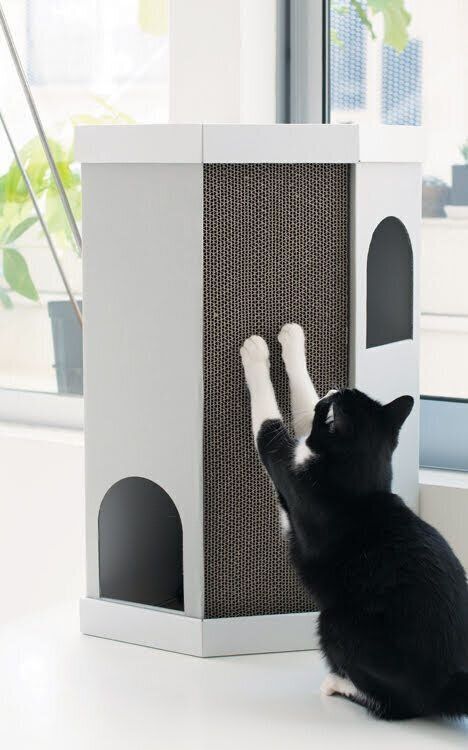 コーナースクラッチハウスで爪とぎをする猫