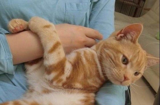 手は離さないよ