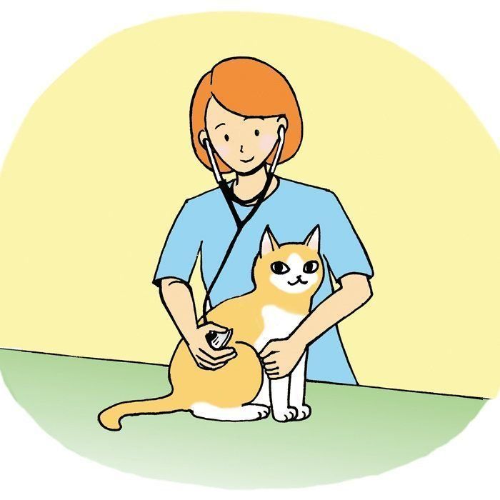 イラスト／西イズミ