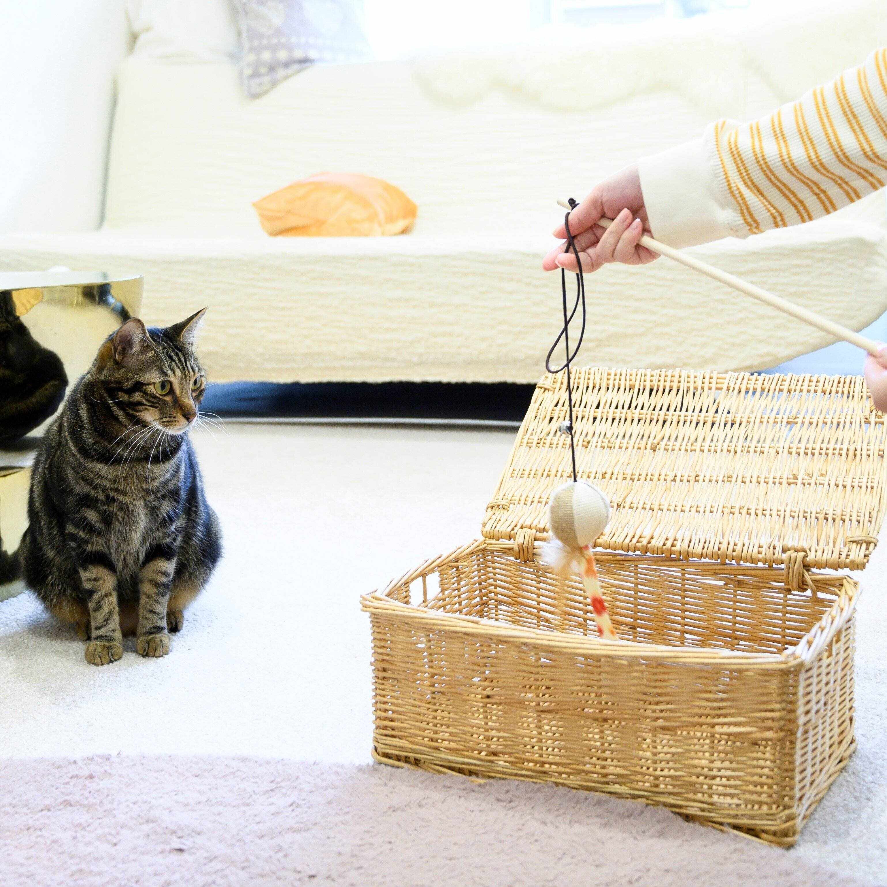 撮影／中川文作