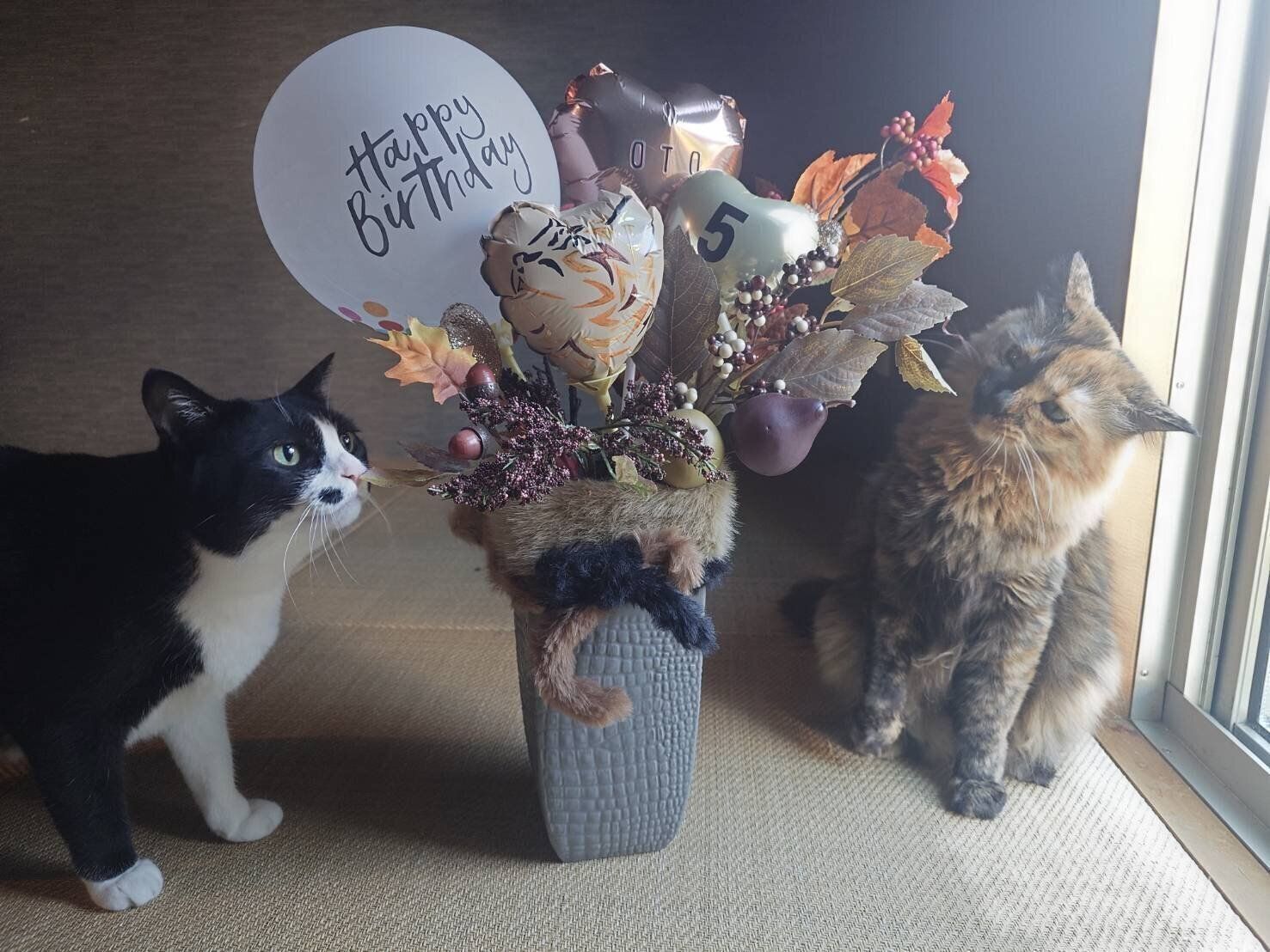 絆那ちゃんと乙ちゃん