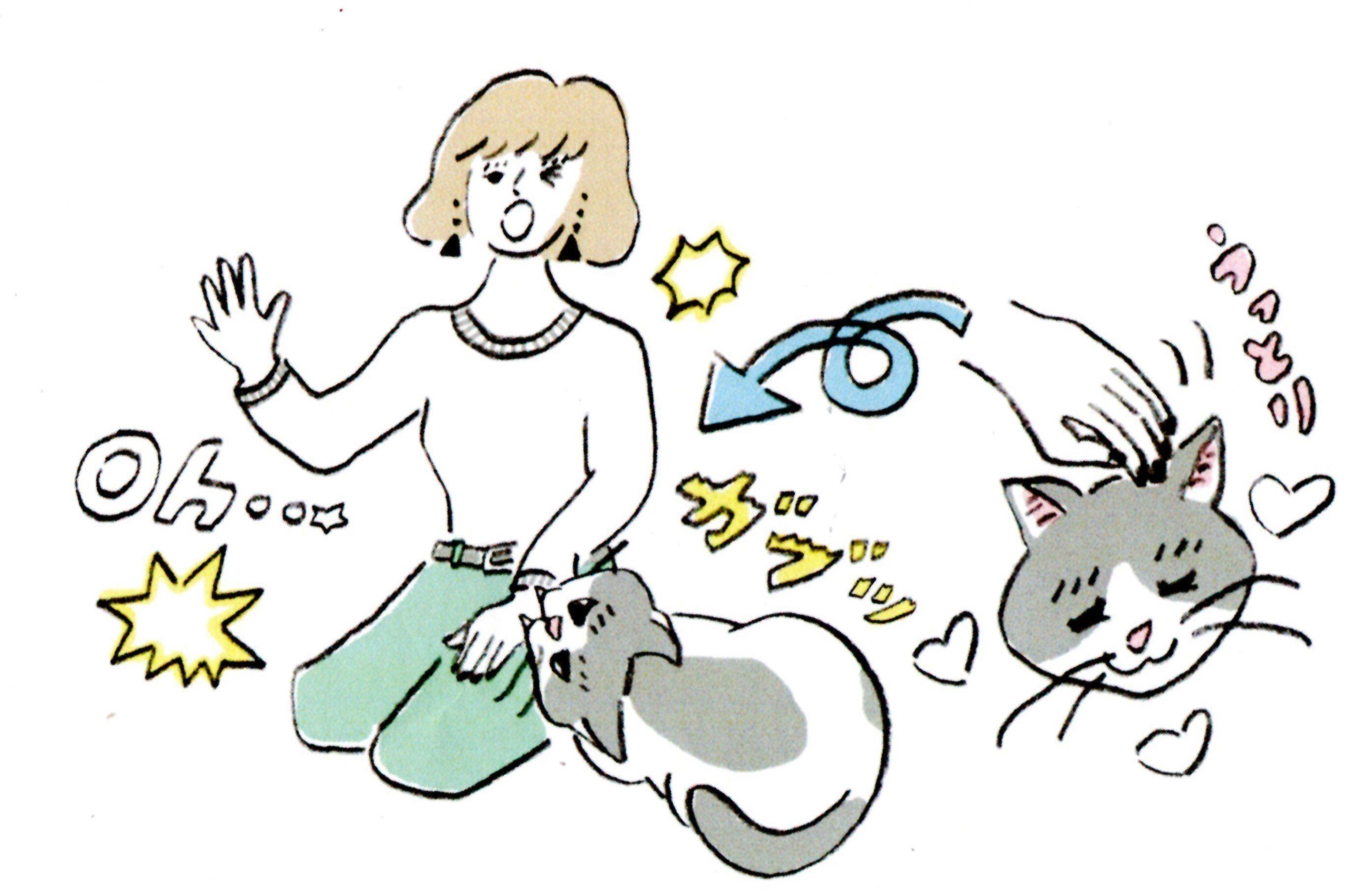 イラスト／タカヒロコ