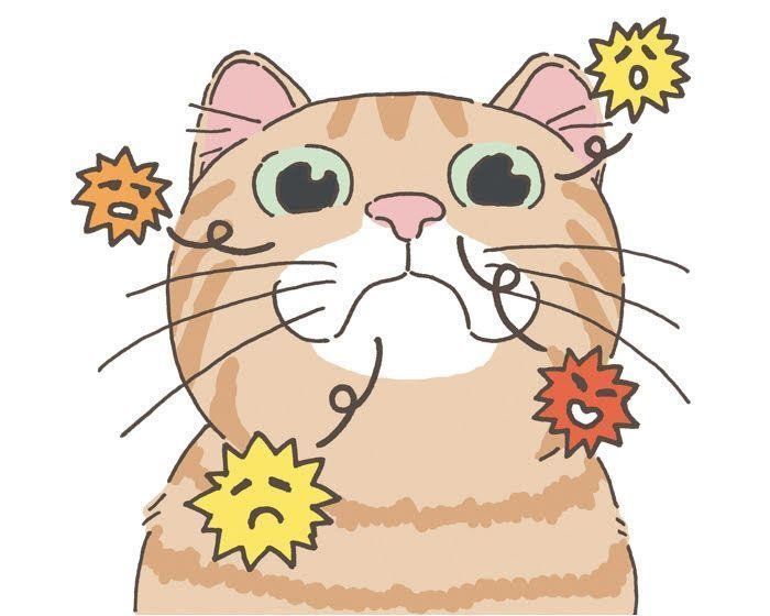 イラスト／野田映美