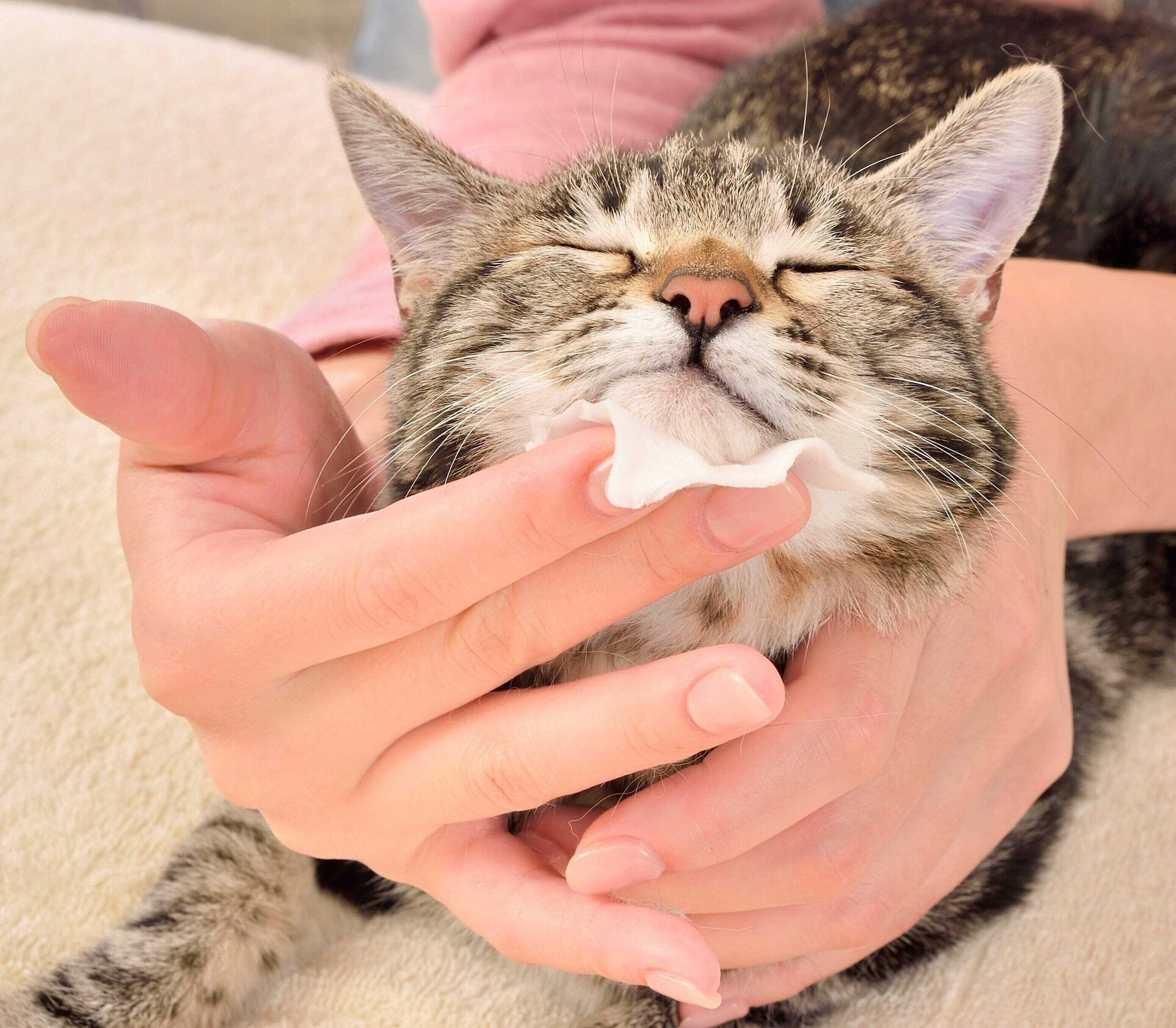 撮影／佐藤正之