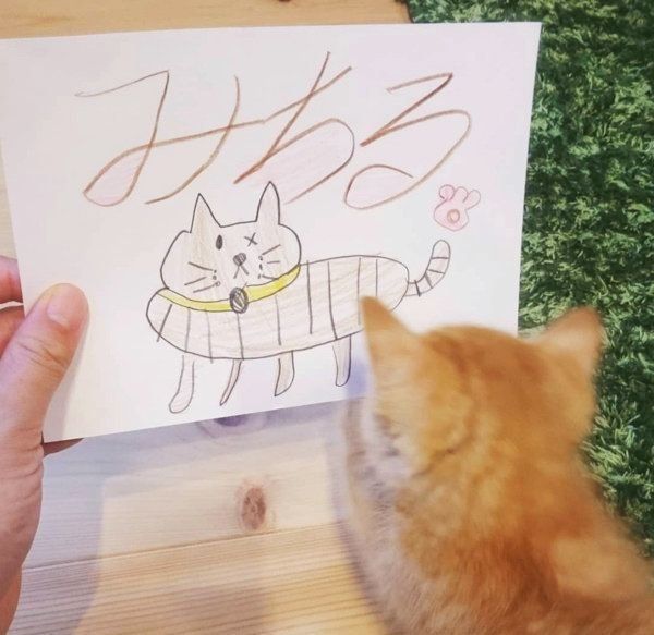 元保護猫・みちるちゃん