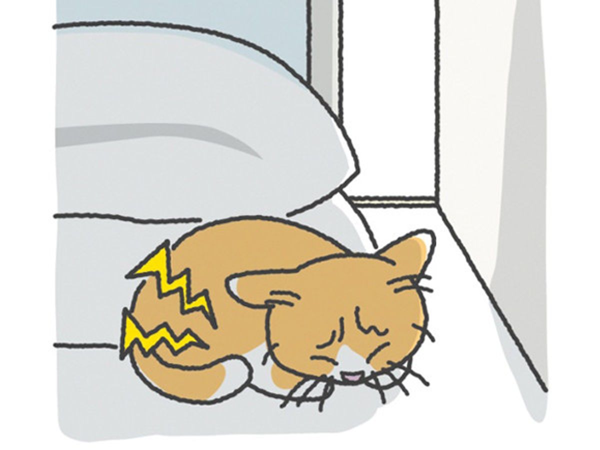 症状に気付きにくい 沈黙の臓器 肝臓とすい臓の病気 ねこのきもちweb Magazine 症状に気付きにくい 沈黙の臓器 肝臓とすい臓の病気 ねこのきもちweb Magazine