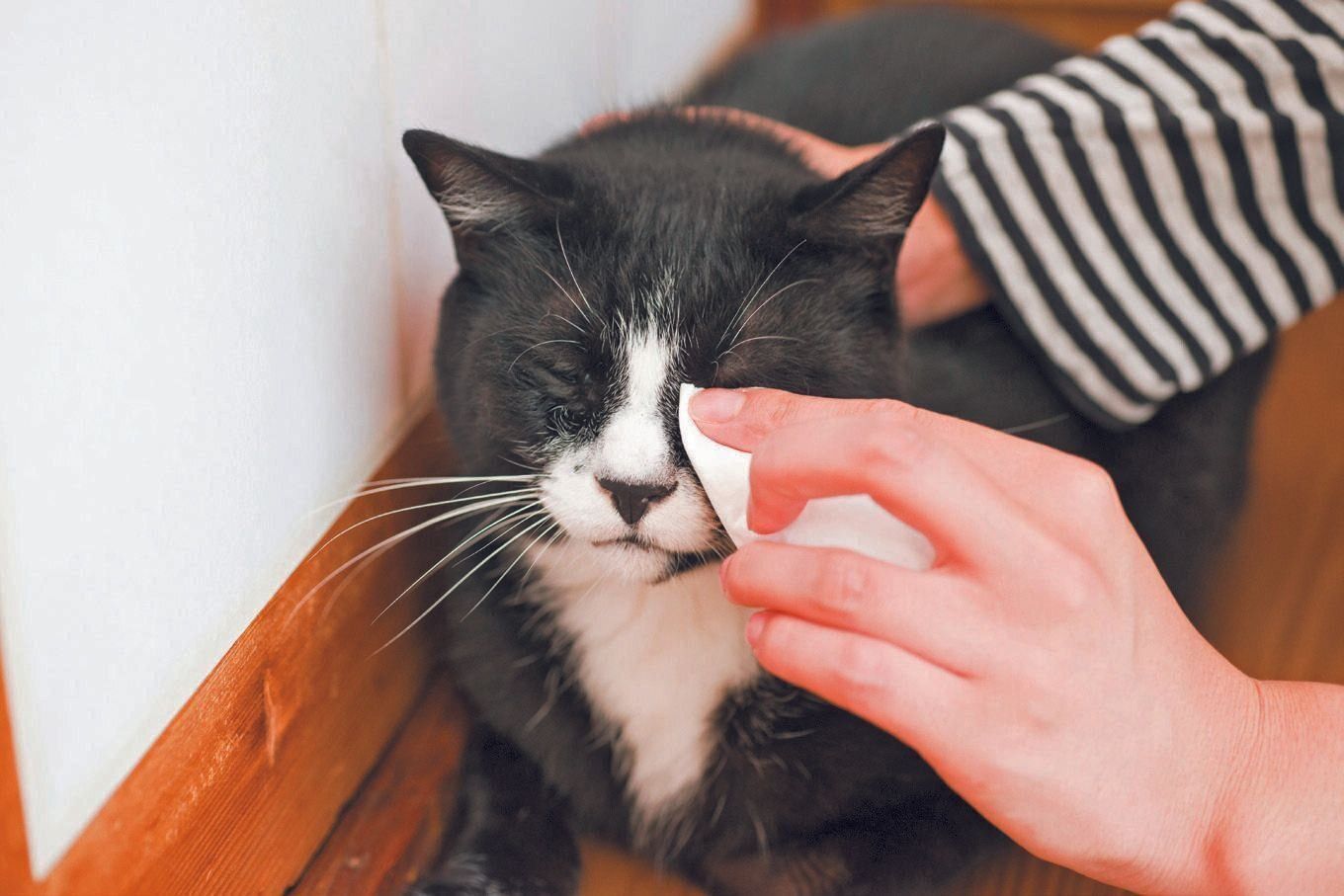 撮影／中川文作