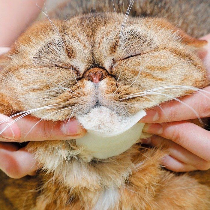 撮影／後藤さくら