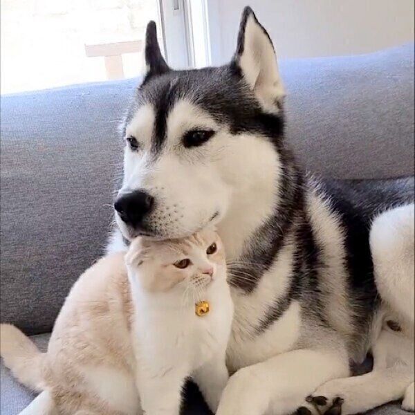 ぴったりと体をくっつけるじゅんちゃんとはっちゃん