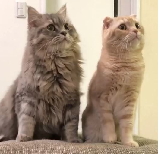 金ちゃんとそうちゃん