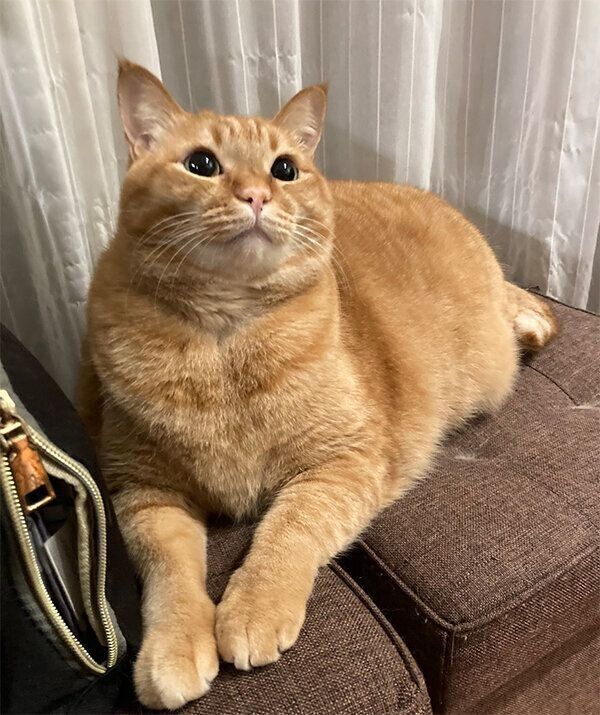 くつろぐすずくん