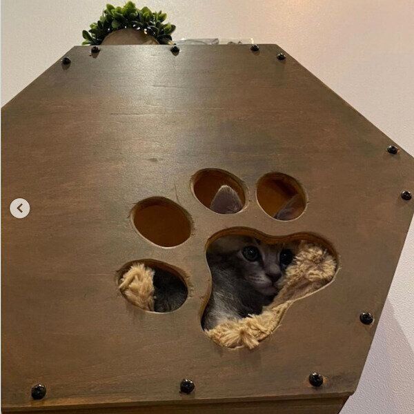 DIYキャットステップ