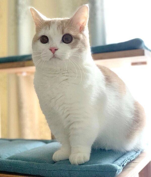 姿勢をよくするマロくん