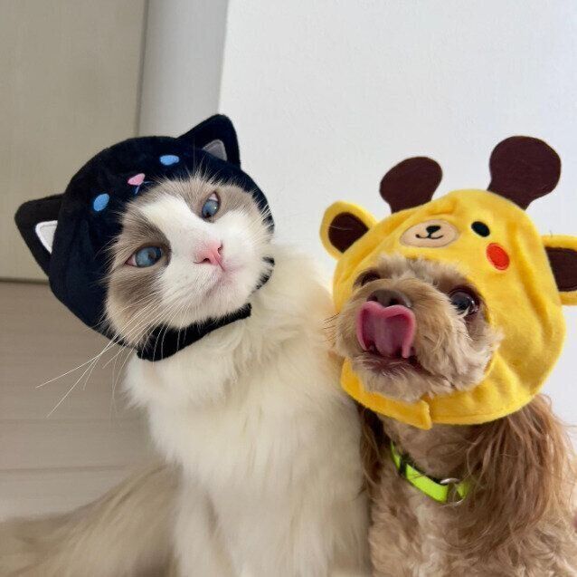 かぶりものをするパルフェくんとのえるくん