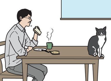 『男の猫道』サムネイル