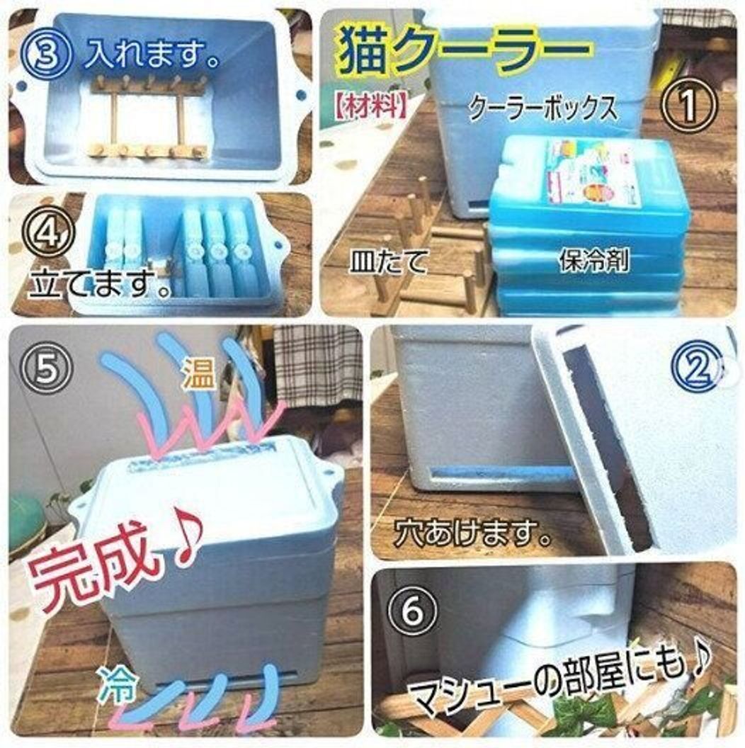 アイデア次第で猫も喜ぶ 暑 い夏を涼しくする 手作りひんやり猫グッズ4 ねこのきもちweb Magazine アイデア次第で猫も喜ぶ 暑 い夏を涼しくする 手作りひんやり猫グッズ4 ねこのきもちweb Magazine
