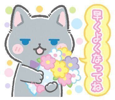 ねこたつ・あずき