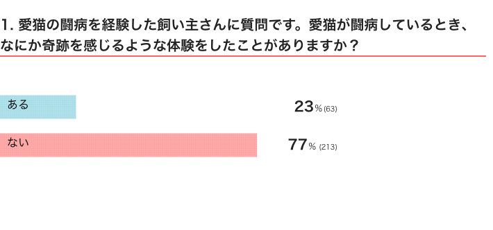 ねこのきもちWEB MAGAZINE　猫との不思議な体験に関するアンケートvol.01
