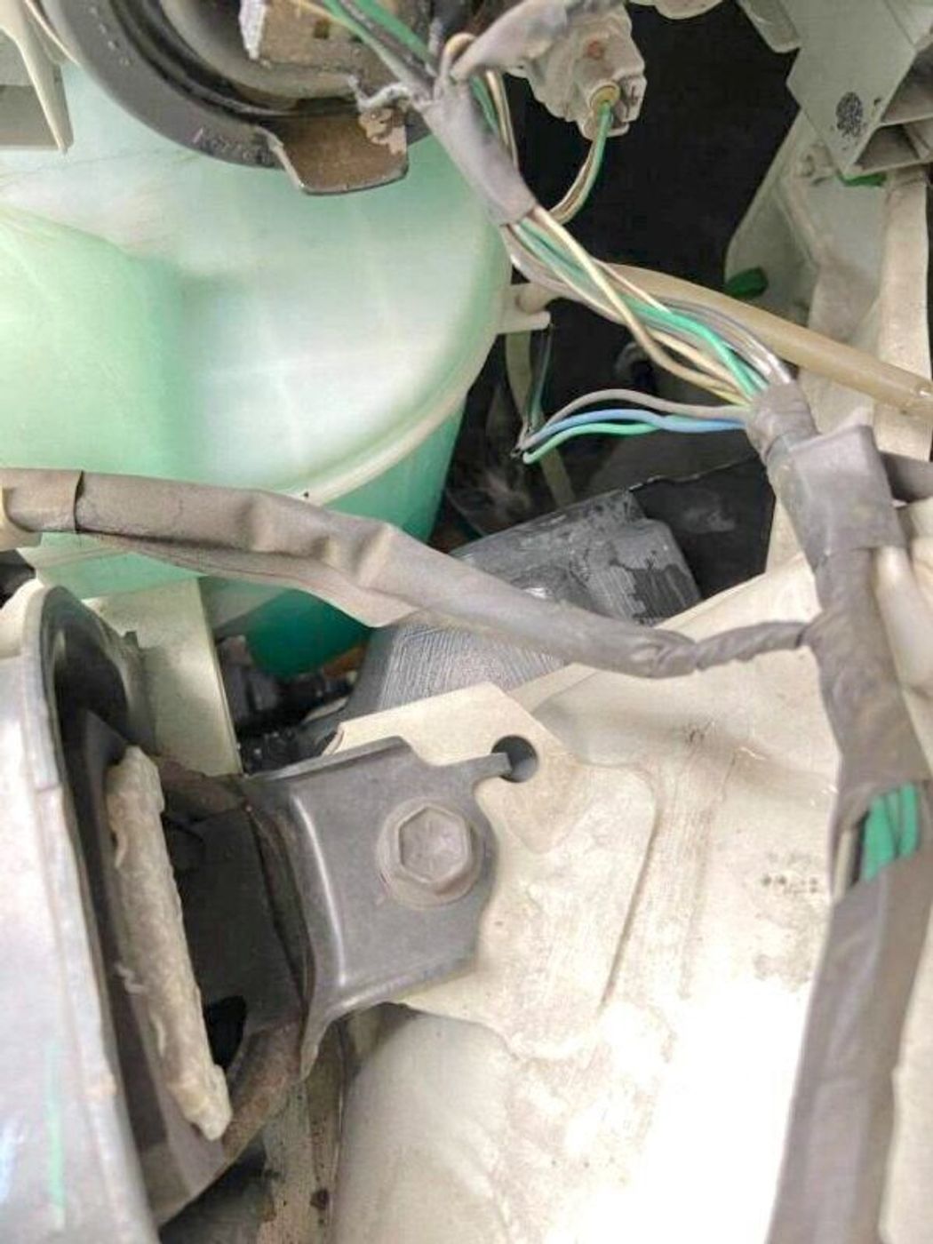 走行中に車のボンネットから猫の声が 危機的状況から保護された 兄妹猫 の今の姿にグッとくる ねこのきもちweb Magazine 走行中に車のボンネットから猫の声が 危機的状況から保護された 兄妹猫 の今の姿にグッとくる ねこのきもちweb Magazine