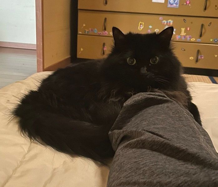 飼い主さんの足をギュッと掴むさぬき丸さん