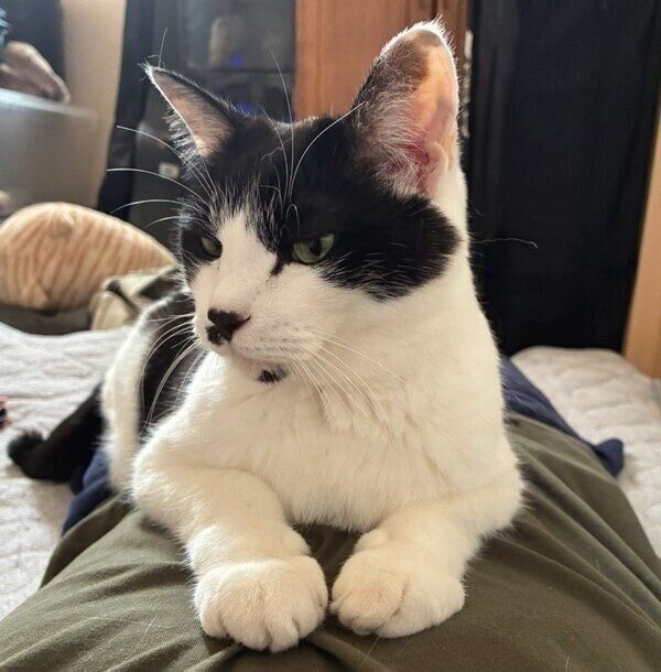 飼い主さん一番の幸せ角度