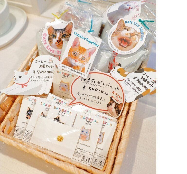 撮影／後藤さくら