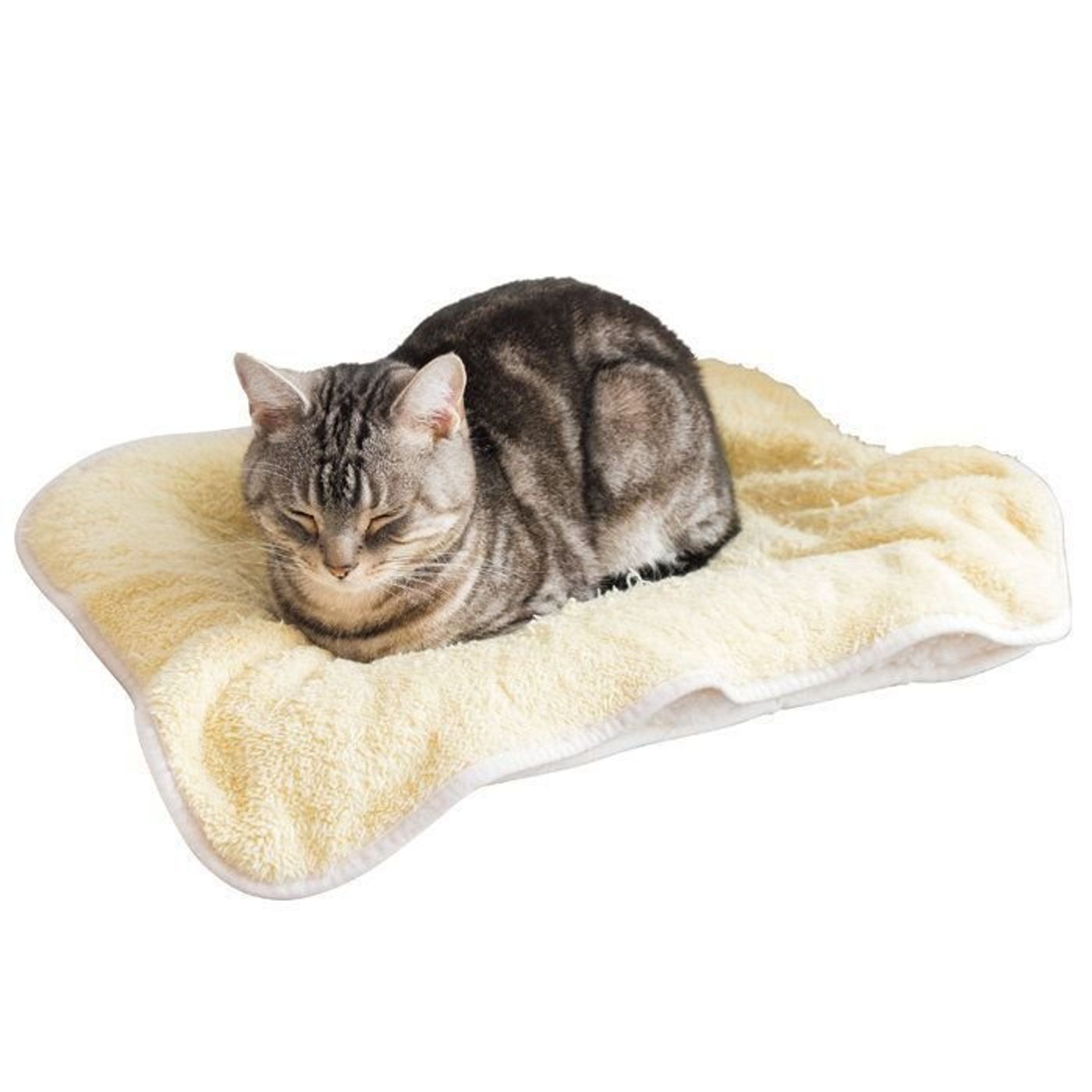 今から間に合う夏バテ対策 愛猫を暑さに強いカラダに 室内環境編 ねこのきもちweb Magazine 今から間に合う夏バテ対策 愛猫を暑さに強いカラダに 室内環境編 ねこのきもちweb Magazine